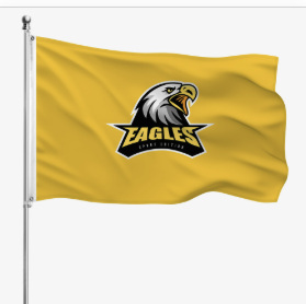 Real product photo of custom pole flag